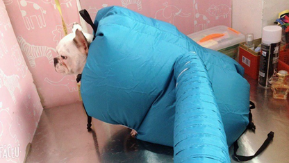Pet Drying Box, Dryer, and Drying Bag